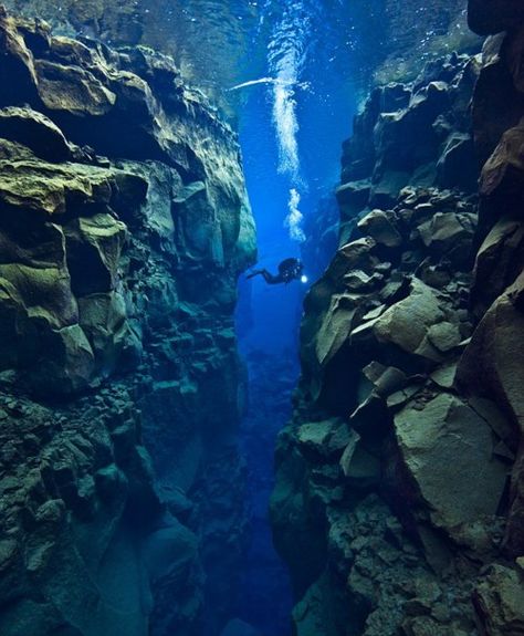 Between the North American and Eurasian tectonic plates near Iceland; the area is riddled with faults, valleys, volcanoes and hot springs, caused by the plates pulling apart at about one inch per year. (Alexander Mustard) Tectonic Plates, Ocean Eyes, Australian Travel, Image Nature, Plate Tectonics, Sea Photo, Underwater Photos, Sea World, Underwater World