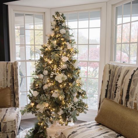 No ornaments on this little gal!  I created a soft feminine look in the front piano room with white roses, lambs ear, berries and lit birch branches.  So pretty in the front bay window of this Chesterfield, Missouri home!  #caramassiedesign #cookchristmas2018 #whitechristmas #falala #stlhomesmag #stlcustomhomes #interiordecorating #christmasdecorations #baywindow #whiteroses Pretty Christmas Trees, White Berries, Birch Branches, Hello Pretty, Christmas Rose, Lambs Ear, Soft Feminine, Holiday Entertaining, The Piano