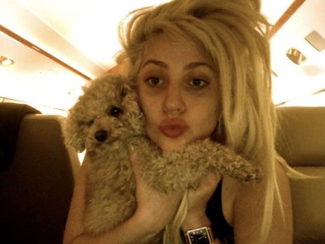 Lady Gaga Without Makeup, Lady Gaga Photos, 2000s Aesthetic, Without Makeup, Lady Gaga, Look Cool, Celebrity Crush, Beautiful People, Blonde