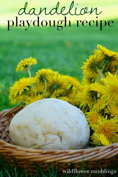 dandelion playdough recipe - Wildflower Ramblings Dandelion Crafts, Lego Cards, Gluten Allergy, Playdough Recipe, Homemade Playdough, Learning At Home, Dandelion Recipes, Eat My, Play Dough