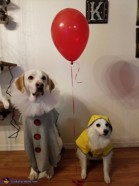 Pennywise and Georgie Dogs Costume Pennywise And Georgie, Cute Dog Halloween Costumes, Best Dog Halloween Costumes, Best Dog Costumes, Cute Dog Costumes, Dog Costumes Funny, Puppy Costume, Diy Dog Costumes, Pet Halloween Costumes