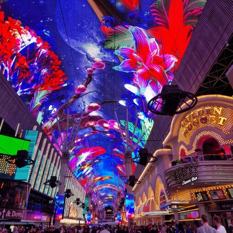 Never met a sensory overload like downtown Las Vegas. Highly recommend visiting the Container Park, Mob Museum, and my absolute fave the Neon Museum #lasvegas #downtownlasvegas #neonmuseum Mob Museum Las Vegas, Container Park, Mob Museum, The Neon Museum, Museums In Las Vegas, Neon Museum, Las Vegas Vacation, Sensory Overload, Vegas Vacation