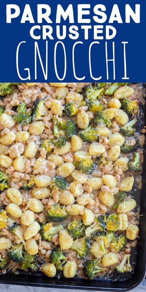 This Parmesan Crusted Gnocchi with Broccoli and White Beans is a quick and easy vegetarian sheet pan dinner! You only need a few ingredients to throw this delicious meal together. The parmesan, white beans and broccoli add protein and the potato gnocchi will keep you nice and full. Serve with a side salad and bread for a hearty dinner. #sheetpanmeal #gnocchirecipe #glutenfree #vegetarian Gnocchi With Broccoli, Vegetarian Sheet Pan, Gnocchi Parmesan, Beans And Broccoli, Parmesan Crusted Potatoes, Cooking Vegetarian, Gluten Free Gnocchi, Parmesan Broccoli, Easy Sheet Pan Dinners