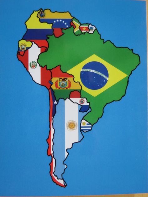 flag map of south America Map Of South America, Deadly Animals, Brazil Art, Personal Social, America Flag, Cute Disney Wallpaper, Assassins Creed, Latin America, Cute Disney