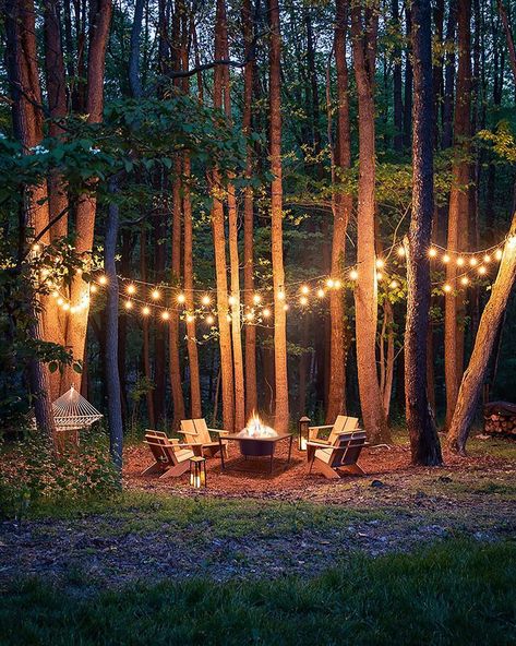 Woods Backyard Ideas, Forest Backyard, Forest Landscaping, Wooded Backyard Landscape, Forest Yard, Indoor Fire Pit, Outdoor String Lights Patio, Adirondack Chairs Patio, Backyard Gardens