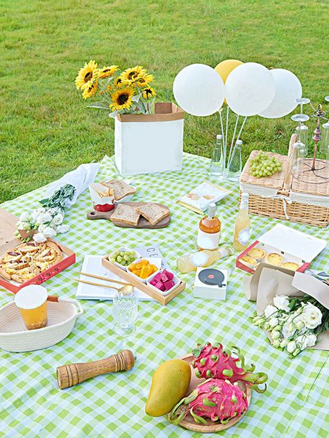 Duolingo Party, Dolly Party, Green Picnic, Picnic Birthday Party, Birthday Picnic, Picnic Theme, Picnic Decorations, Picnic Birthday, Kawaii Diy