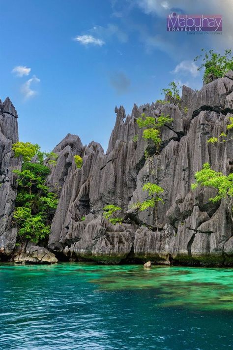 Some of the stunning diving spots are found here in Coron! Explore the beaches and their other attractions that await to amaze you! Visit to sit back and relax admiring the limestone cliffs. Twin Lagoon, Coron Palawan Philippines, Philippines Tourism, Coron Palawan, Palawan Philippines, Coron, Palawan, Sit Back And Relax, Sit Back