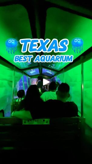 140K views · 7.1K reactions | Y’all actually have to check out this amazing aquarium that has a train running through it. If you’re looking for a awesome thing to do downtown Houston, then you definitely have to check out the Houston aquarium located right in downtown Houston, Texas. | The Texas Family Houston Aquarium, Family Night Activities, Amazing Aquariums, Prom Hairstyles For Long Hair, Texas Vacations, Downtown Houston, Dallas Texas, Family Night, Running Training