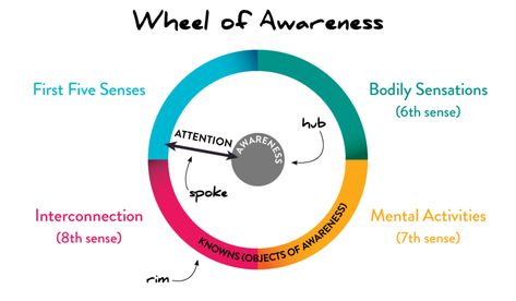 Dr. Dan Siegel's Wheel of Awareness - Garrison Institute Wheel Of Awareness, Ucla School Of Medicine, Dan Siegel, Whole Brain Child, Self Organization, Strong Mind, Human Relationship, Therapy Ideas, Brain Training