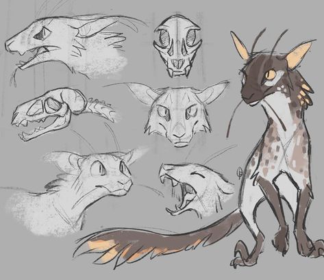 Chloe on Instagram: “Trying to develop my cat/raptor boys a lil more” Cat Drawing Tutorial, Warrior Cats Art, Cat Character, Good Boy, Mythical Creatures Art, Creature Concept Art, Animal Sketches, Creature Concept, Warrior Cats