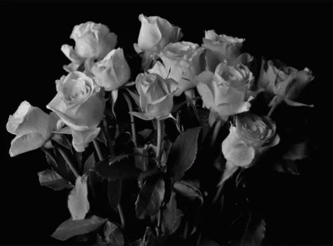 Roses Died GIF - Flowers Wilt Died - Discover & Share GIFs Roses Gif, Drawing Wallpaper, Flowers Gif, Dark Flowers, Vintage Drawing, Arte Inspo, Pastel Flowers, Aesthetic Painting, Aesthetic Gif