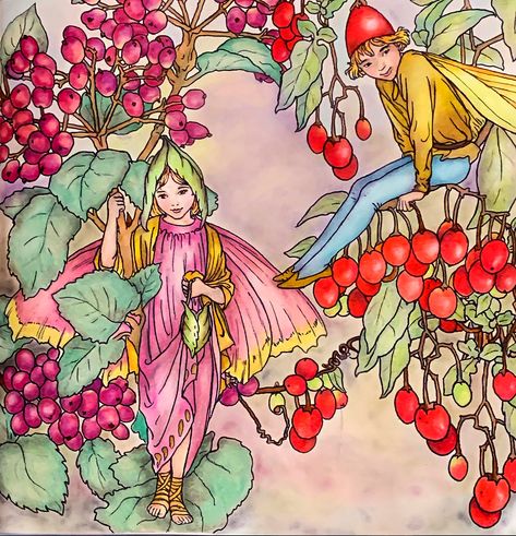 The Wayfaring Tree & Nightshade Berry Fairies 🧚‍♀️ from The Flower Fairies by Cicely Mary Barker Used Luminance, Lightfast, Holbein pencils, Pan Pastels Flower Fairies Cicely Mary Barker Coloring Pages, Flower Fairies Cicely Mary Barker, The Flower Fairies, Fae Art, Fairy Coloring Book, Pan Pastels, Coloring Art, Fairy Pictures, Cicely Mary Barker