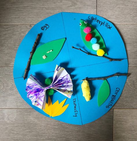 Butterfly Life Cycle Preschool, Migration Activities, Homeschool Unit Studies, Life Cycles Preschool, Butterfly Life Cycle Craft, Life Cycle Craft, Kindergarten Stem, Butterfly Migration, Butterfly Live