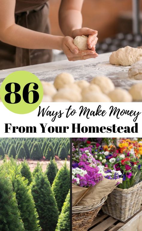 Ways To Make Money Homesteading, Homesteading In The Desert, Desert Homesteading, Homesteading Life, Hobbies Ideas, Homesteading Ideas, Big Farm, Small Backyard Design Ideas, Homesteading Diy