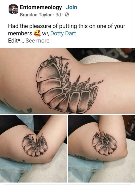 Dopamine Tattoo, Pictures Of Tattoos, Vogel Tattoo, Pill Bug, Funky Tattoos, Bug Tattoo, Insect Tattoo, 1 Tattoo, Time Tattoos