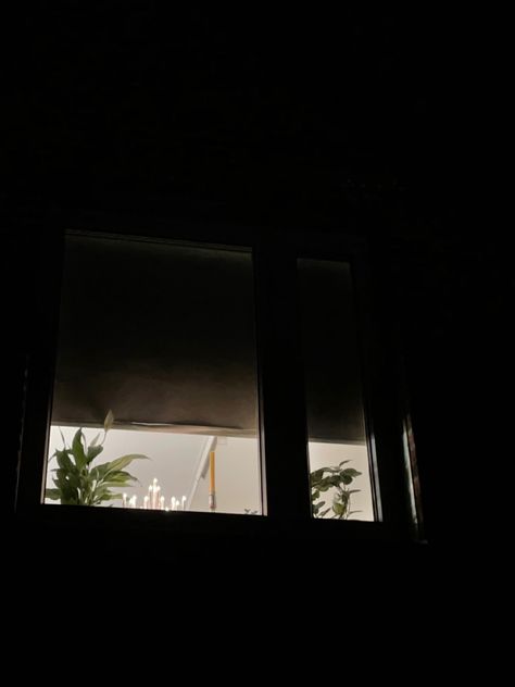 Stalker Aesthetic Window, Plants Aesthetic, Your Biggest Fan, Winter Plants, Cartoon Profile Pictures, Film Studio, Cartoon Profile, Night Aesthetic, Clueless