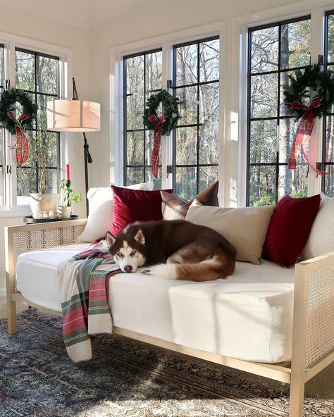 Daybed Den Ideas, Sunroom With Bed, Day Bed Sunroom Ideas, Sunroom Reading Area, Daybed In Sunroom, Sunroom With Daybed, Sunroom Daybed, Daybed As Couch Living Room, Christmas Sunroom