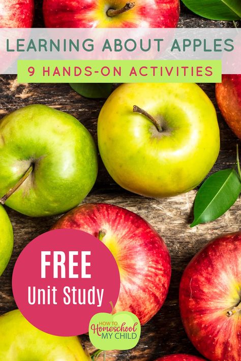 Learning About Apples 9 Hands On Activities - How To Homeschool My Child Free Unit Study, Johnny Appleseed Activities, How To Homeschool, Homeschool Freebies, Apple Activities, Homeschool Tips, Autumn Activities For Kids, Unit Studies, Homeschool Help