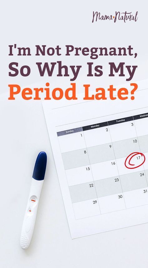 If you're wondering why is my period late, read on to find out what causes late or missed periods, plus get tips for regulating your cycle. https://www.mamanatural.com/why-is-my-period-late/ Late Period Not Pregnant, Period Remedies, Missed Period, Period Cycle, Healthy Period, Period Problems, Not Pregnant, Period Hacks, Irregular Periods