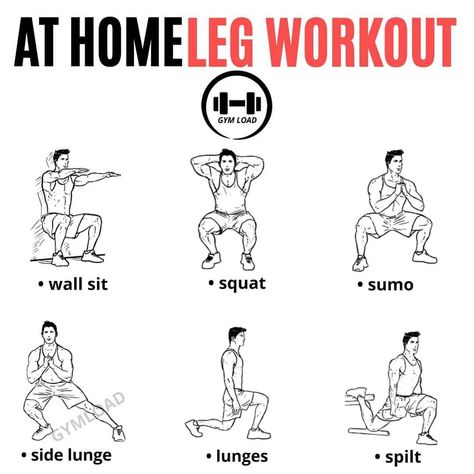 Healthy Physique, Muscle Gain Workout, Workouts Women, Quad Muscles, Gym For Beginners, Best Leg Workout, Leg Workout At Home, Best Workout Plan, Fitness Facts