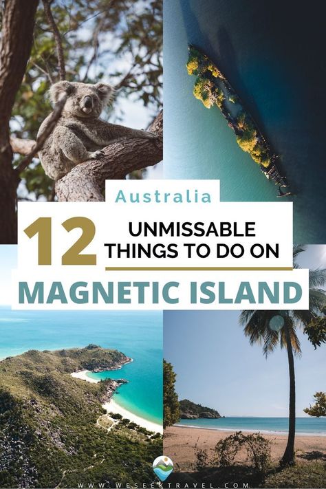 This contains: Magnetic Island Magnetic Island, Australian Wildlife, Secluded Beach, Top Travel Destinations, Happy Travels, Travel Deals, Travel Goals, Australia Travel, Amazing Places