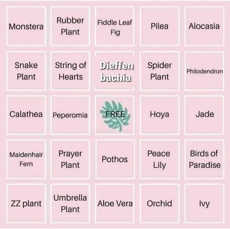 Plant Bingo anyone? Post yours in the comments! 💚🌿🌸 Plant Swap, Types Of Houseplants, Easy Care Houseplants, Peace Bird, Alocasia Plant, Ivy Plants, Zz Plant, Fern Plant, Houseplants Indoor