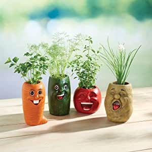 Tomato Potato, Funny Vegetables, Vegetable Planters, Squirrel Figurine, Themed Gift Baskets, Colorful Vegetables, Face Planters, Herb Planters, Cucumber Tomato