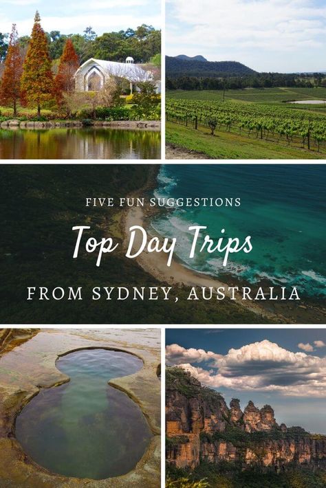 Check out our five fun suggestions for Day Trips from Sydney, Australia. If you are visiting Sydney soon, you will want to add a day to escape the city! There are so many relaxing activities and thrilling adventures to be had outside of Sydney. Add these to your travel list! 5 Days In Sydney, Day Trip Ideas, Visit Sydney, Relaxing Activities, Australia Day, Travel List, Travel Board, Trip Ideas, Australia Travel