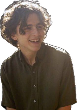 Timothee Chalamet Aesthetic, Timmy Time, Model Tips, Please Don't Leave, Don't Leave Me, Timmy T, Regulus Black, The Perfect Guy, Don't Leave