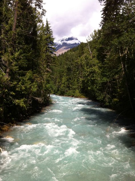 glacial river rapids near Mount Robson in the British Colombian Rockies. Mount Robson, River Rapids, River Painting, British Columbia, Rocky, Columbia, Forest, Camping, Water