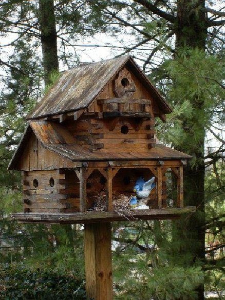 Rustic and large birdhouse (Some birds live better than I do...) Large Bird Houses, Bird Feeder Plans, Taman Air, Birdhouses Bird Feeders, Birdhouses Rustic, Garden Birdhouses, Bird House Feeder, Rustic Birdhouse, Bird House Plans