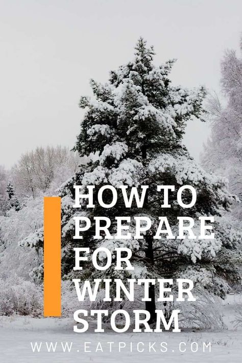 Snow Preparation Tips, Snow Storm Preparation, Winter Prepping, Allotment Planning, Winter Storm Prep, Winter Storm Preparedness, Flood Preparedness, Storm Preparedness, Winter Blizzard