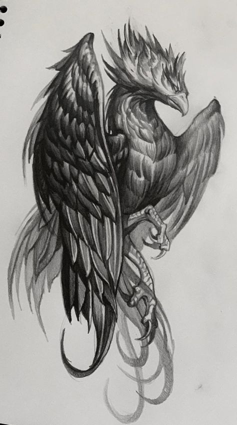 Pin by Pamela Laws on Phoenix bird tattoos | Phoenix tattoo design, Pheonix tattoo, Phoenix tattoo men Griffon Tattoo, Feniks Tattoo, Phoenix Tattoo Men, Phoenix Tattoo Sleeve, Tato Naruto, Tato Phoenix, Phoenix Tattoo For Men, Phoenix Drawing, Phoenix Bird Tattoos