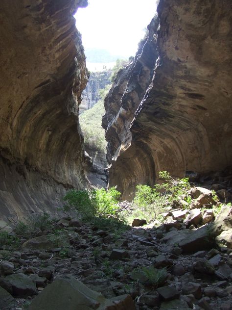 Echo Ravine is one of the most picturesque short routes in Golden Gate Highlands National Park. Starting at the Glen Reenen Rest Camp the gentle, marked route moves upward into a spectacular ravine… Camping With Cats, Cannery Row, Angel Painting, Warrior Cat, Indiana Jones, Warrior Cats, Fantasy Landscape, Golden Gate, Hotels And Resorts