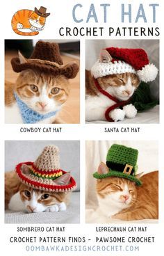 Have you seen these adorable crochet hats for pets? I stumbled across these amazing cat hat crochet patterns on (you guessed it) Pinterest last weekend and I thought they would be perfect for my friends who are fur-parents and fur-grandparents! Cat Cowboy Hat Crochet, Crochet Pumpkin Hat For Cat, Kitty Cat Hat Crochet Pattern Free, Crochet Hat For Cat Pattern Free, Crochet Cat Hat Pattern Free, Cat Hat Crochet Pattern Free, Cat Hat Crochet, Pumpkin Hat Pattern, Crochet Cowboy Hats