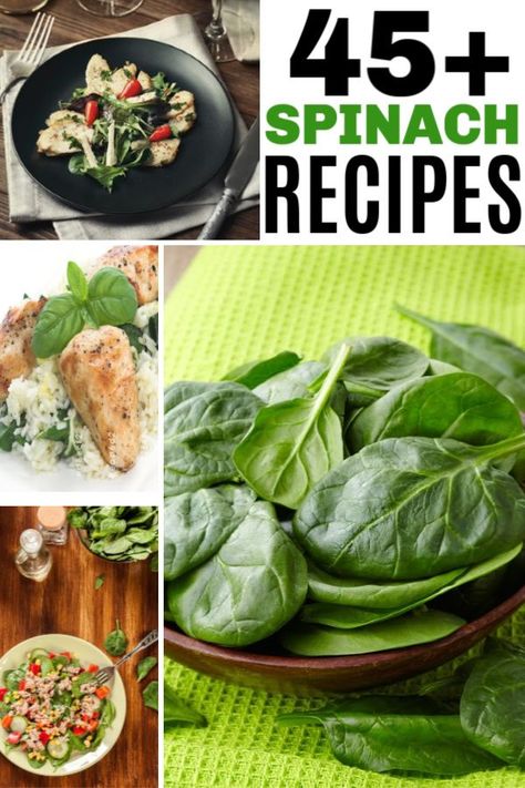 So many amazing recipes that feature spinach as an ingredient. If you are trying to find new ways to add spinach to your diet you have to check these awesome spinach recipes out! #spinach #healthyrecipes #spinachrecipes #vegetables Spinach Recipes Meal Prep, Spinach Entrees Dinners, Ways To Use Fresh Spinach, Things To Do With Fresh Spinach, Recipes With Spinach Leaves, What To Do With Extra Spinach, Grilled Spinach Recipe, Lunch Recipes With Spinach, Sandwiches With Spinach