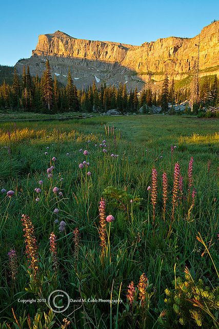 Bob Marshall Wilderness Montana Mountain Cliff Aesthetic, Horse Packing, Montana Wildflowers, Big Sky Montana Summer, Southern California Mountains, Montana Sky, Montana Photography, Montana Scenery, Montana Winter