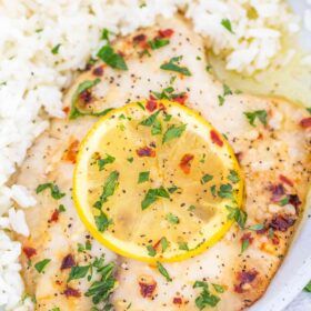 Tilapia Dinner Recipes, Dinner Recipes Fish, Lemon Garlic Tilapia, Tilapia Baked, Tilapia Dinner, Soft Foods To Eat, Fish Tilapia, Lemon Tilapia, Baked Tilapia Recipes