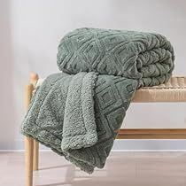 Bed Sofa Living Room, Single Size Bed, Blankets For Winter, Thick Blanket, Blanket For Couch, Twin Blanket, Sherpa Throw Blankets, Couch Chair, Plush Blankets