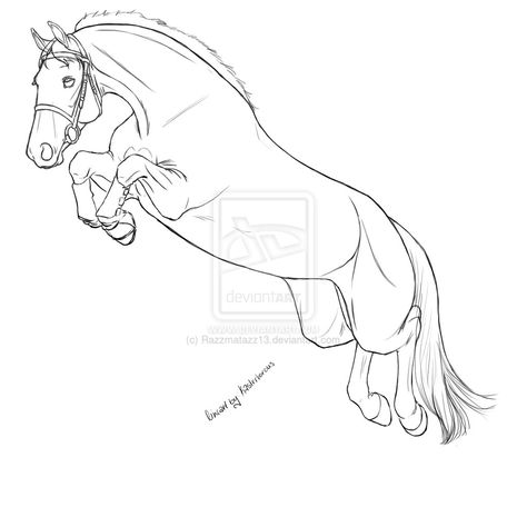 Jumper Jump Drawing, Jumping Drawing, Horse Pencil Drawing, Chibi Coloring Pages, Horse Art Drawing, Cat Drawing Tutorial, Horse Sketch, Horse Inspiration, Horse Coloring Pages