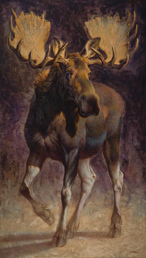 Moose Painting, Master Oil Painting, Moose Pictures, An Nou Fericit, Wildlife Paintings, Arte Animal, Wildlife Art, Pics Art, An Animal