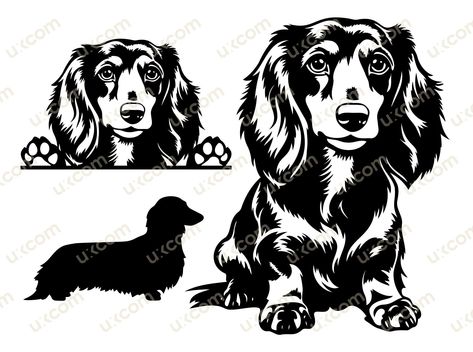 Dachshund Long Haired, Dogs Clipart, Hair Clipart, Long Haired Dachshund, Dog Svg, St Bernard, Dachshund Love, Vector Shapes, Cricut Cut