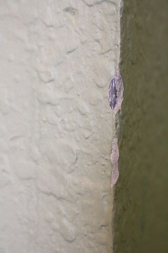 How to fix cracked and crumbled corners using spackle paste. Florida Home Decorating, House Painting Tips, Drywall Corners, How To Patch Drywall, Drywall Repair, Home Fix, Diy Home Repair, Home Repairs, Remodeling Ideas