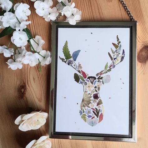 Dried Flower Pictures, Dried Flowers Crafts, Pressed Flowers Diy, Press Flowers, Dried Flowers Diy, Flower Pressing, Pressed Flower Crafts, Therapeutic Art, Deer Art