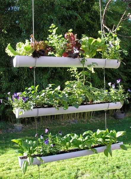 This is a must. I'm thinking over our fence, hmm, and maybe substituting bike parts of some sort. (site has step by step instructions and materials list) Pvc Pipe Garden Ideas, Kebun Herbal, Taman Diy, Gutter Garden, Hanging Herbs, Jardim Diy, Diy Herb Garden, نباتات منزلية, Plants Growing