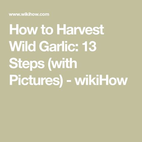 How to Harvest Wild Garlic: 13 Steps (with Pictures) - wikiHow Serving Size Chart, Portion Size, Wild Garlic, Portion Sizes, Nutrition And Dietetics, Food Scale, Packaged Food, Measuring Cup, Green Vegetables