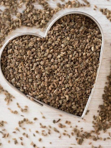 Carom Seeds, Skin Allergy, Uric Acid, Skin Allergies, Traditional Medicine, Fennel Seeds, Boost Your Metabolism, Health Conditions, Regular Exercise