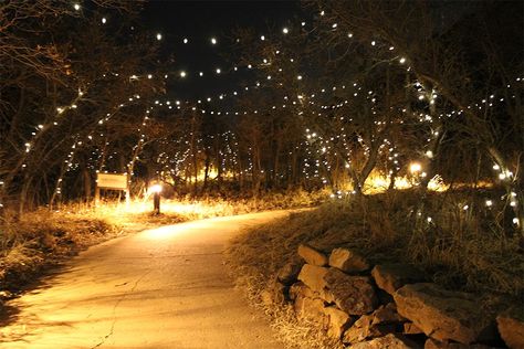 See Roxborough Park's New Trail of Lights and Night Hike Banff Christmas, Trail Of Lights, Night Hike, Night Hiking, Light Trails, Light Pollution, Beautiful Park, Walking Trails, Visitor Center