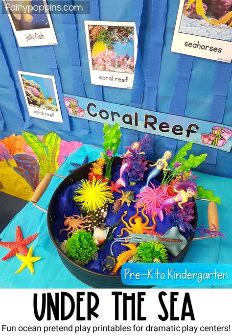 This under the sea dramatic play center is a fun way for kids to learn about ocean animals. It's great addition to an under the sea or ocean theme. #oceandramaticplay #undertheseadramaticplay #undertheseapretendplay #oceanpretendplay #cardboardsubmarine #aquariumdramaticplay #aquariumpretendplay #oceanactivities #underthesea #aquarium #pretendplay #dramaticplaycenter #pretendplaycenter #preschool #prek #kindergarten Under The Sea Dramatic Play, Ocean Animals Preschool, Fairy Poppins, Ocean Activities Preschool, Ocean Theme Preschool, Under The Sea Crafts, Dramatic Play Center, Ocean Plants, Ocean Projects