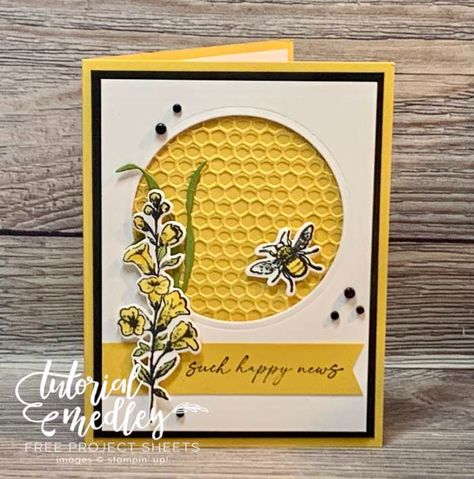 stampin up honeybee home hive embossing folder tutorial medley Honey Bee Home Stampin Up Cards, Cards With Bees, January Projects, Gardening Cards, Honey Bee Home, Layered Cards, Bee Hives, Tutorial Ideas, Golden Honey